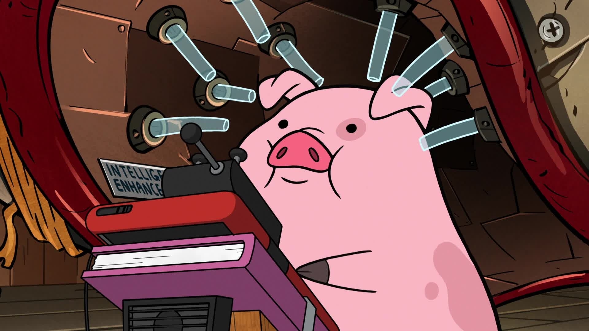Souvenirs de Gravity Falls DisneyXD.fr