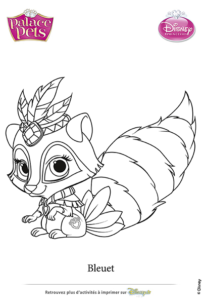 coloriage bleuet